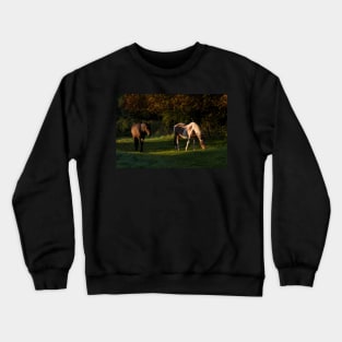 Horse shadow Crewneck Sweatshirt